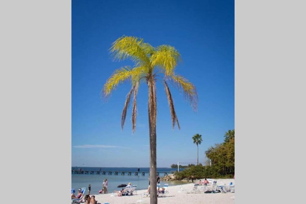 Little Harbor Resort #206 Tampa Bay Fl Beach, Bayview, 2 Pools Ruskin Dış mekan fotoğraf